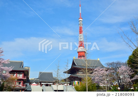 東京タワーと増上寺 21808093