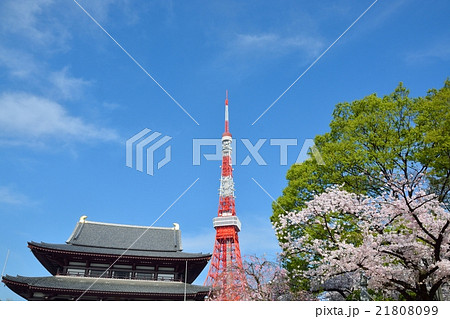 東京タワーと増上寺 東京タワーと増上寺 21808099