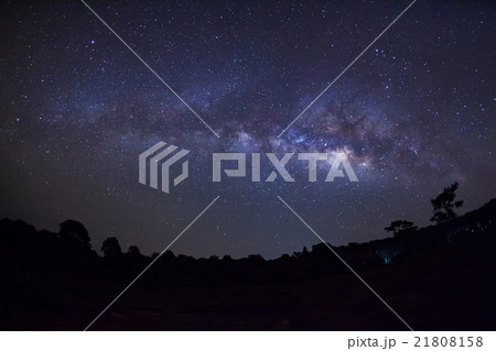 Milky Way Galaxy and Silhouette of Tree. 21808158