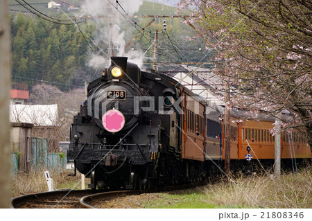 大井川鉄道　蒸気機関車 21808346