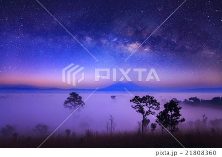 Milky way and fog at Thung Salang Luang  21808360