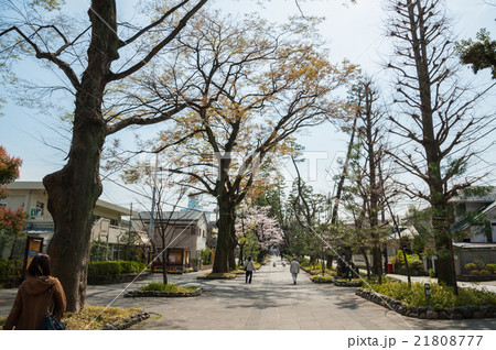 東京散歩、世田谷区奥沢九品仏付近 21808777