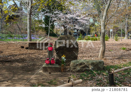 東京散歩、世田谷区奥沢九品仏浄真寺 東京散歩、世田谷区奥沢九品仏浄真寺 21808781