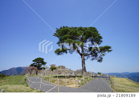 竹田城 竹田城 21809189