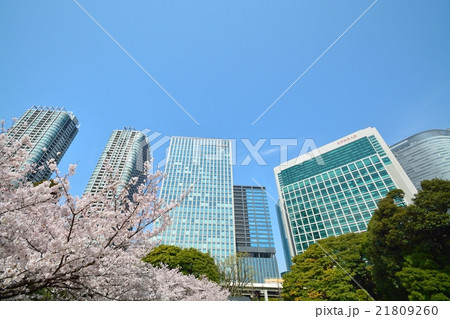 浜離宮恩賜庭園から見た桜と高層ビル（汐留） 21809260