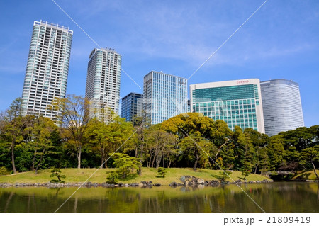浜離宮恩賜庭園から見た高層ビル（汐留） 21809419