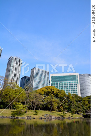 浜離宮恩賜庭園から見た高層ビル（汐留） 21809420