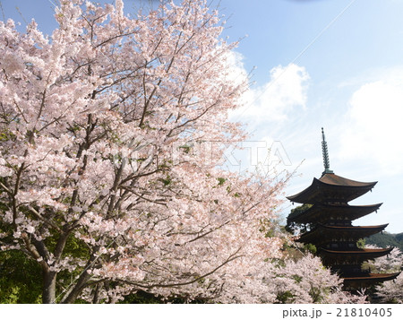 瑠璃光寺五重塔　四季 21810405
