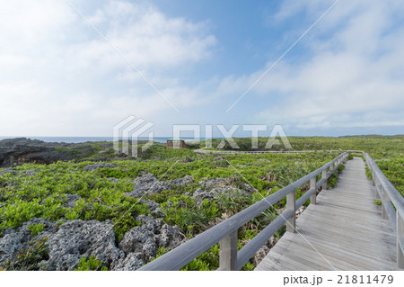 沖縄宮古島下地島の通り池にある木の道 21811479