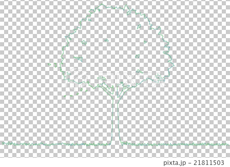木のイラスト 21811503
