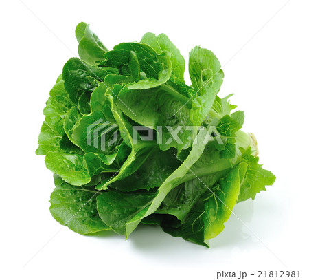cos isolated on white background 21812981