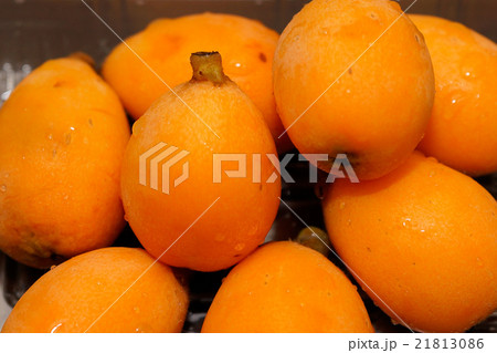 枇杷の実 21813086