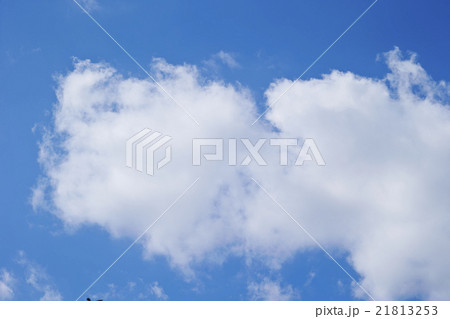 空 空 21813253