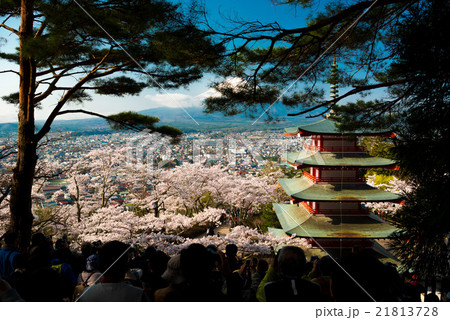 新倉浅間神社の桜 21813728