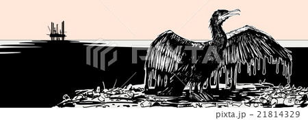 oiled cormorant 21814329