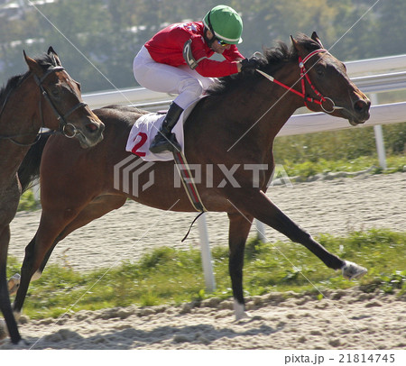 Horse racing. Horse racing. 21814745