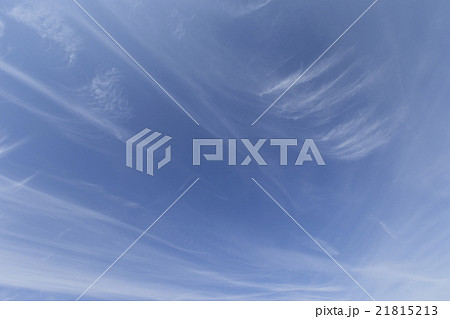 絹雲 21815213