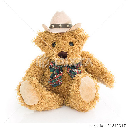 Cowboy teddy bear sitting on white 21815317
