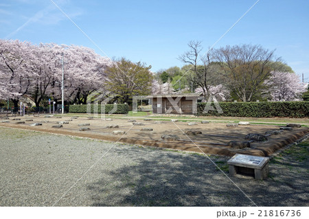 武蔵国分尼寺の尼房跡 武蔵国分尼寺の尼房跡 21816736