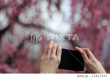 スマートフォン 撮影 桜 スマートフォン 撮影 桜 21817441