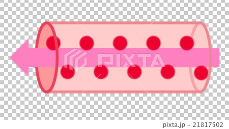 Blood vessel - Stock Illustration [21817502] - PIXTA