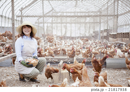 養鶏 女性 養鶏 女性 21817938