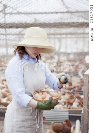 養鶏　女性 21817951