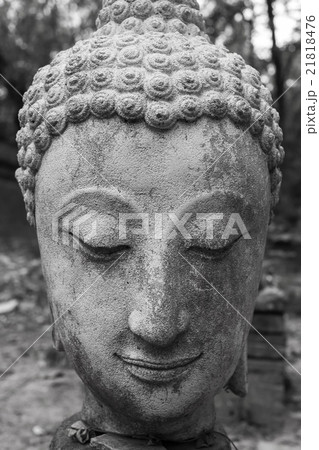 buddha statue in wat umong, chiang mai 21818476