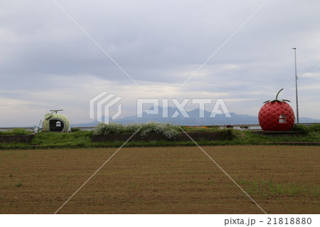フルーツバス停の写真 21818880