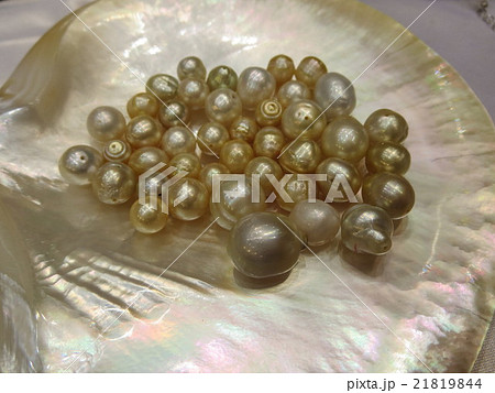 真珠 真珠 21819844