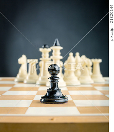 Chess figures  21820144