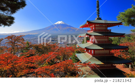 新倉富士浅間神社　桜紅葉と富士山 21821342
