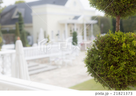 Happy marriage 21821373