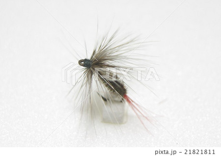 斑のハックルでピーコックのボディのドライフライ 21821811