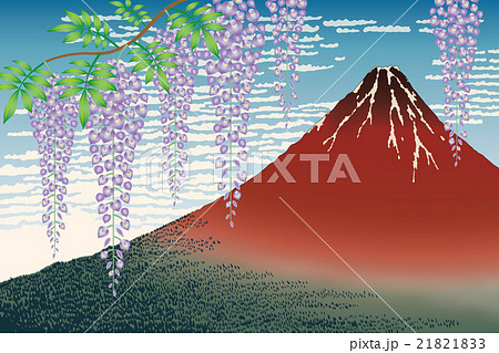 富士に藤の花 凱風快晴 のイラスト素材 2113