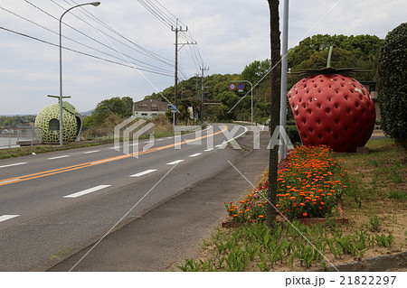 フルーツバス停の写真 21822297