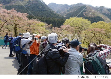 わたらせ渓谷鉄道での撮影ツアーの人々 わたらせ渓谷鉄道での撮影ツアーの人々 21822340