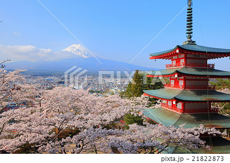 新倉富士浅間神社 桜と富士山 新倉富士浅間神社 桜と富士山 21822873