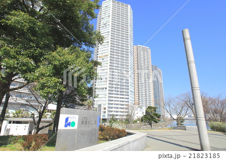 東雲水辺公園 21823185