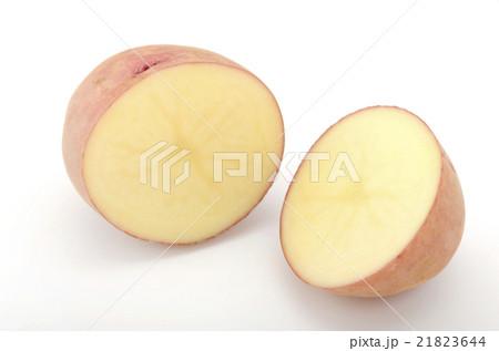 紅じゃがいも 紅じゃがいも 21823644