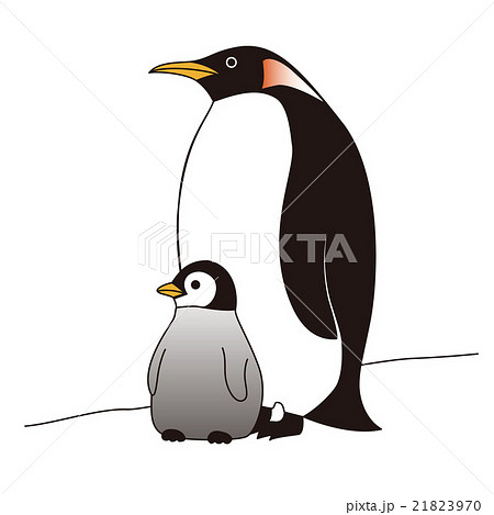 ペンギンの親子のイラスト素材