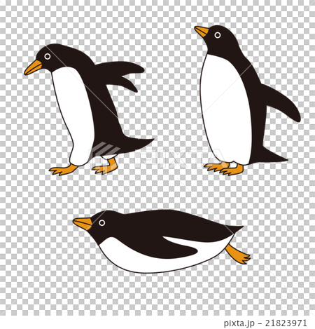 Penguins of various poses 21823971