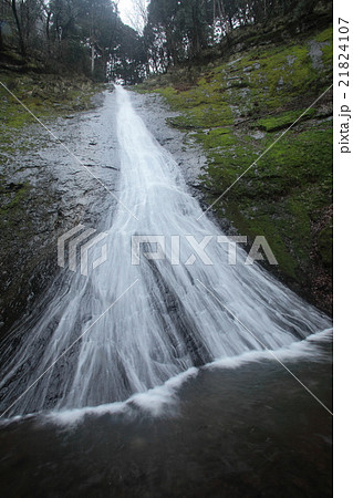 柳の滝 布滝 柳の滝 布滝 21824107