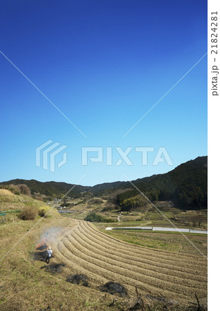 明日香村春景色　野焼き 21824281