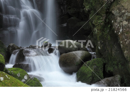 桑ノ木の滝 21824566