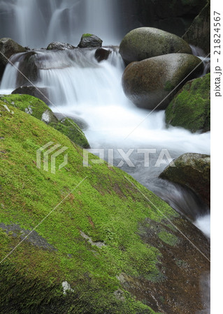 桑ノ木の滝 21824567