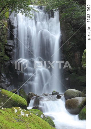 桑ノ木の滝 21824569