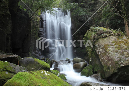 桑ノ木の滝 21824571