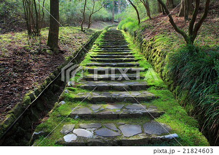 恩賜箱根公園　二百階段 21824603