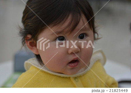 6 months old 6 months old 21825449